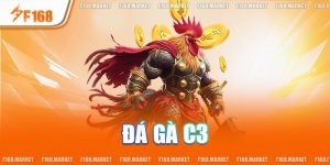 Đá Gà C3 - Sân Chơi Chuyên Nghiệp, Uy Tín, Hấp Dẫn