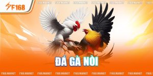 Đá Gà Nòi - Mãn Nhãn Cùng Phần Thể Hiện Của Chiến Binh Việt