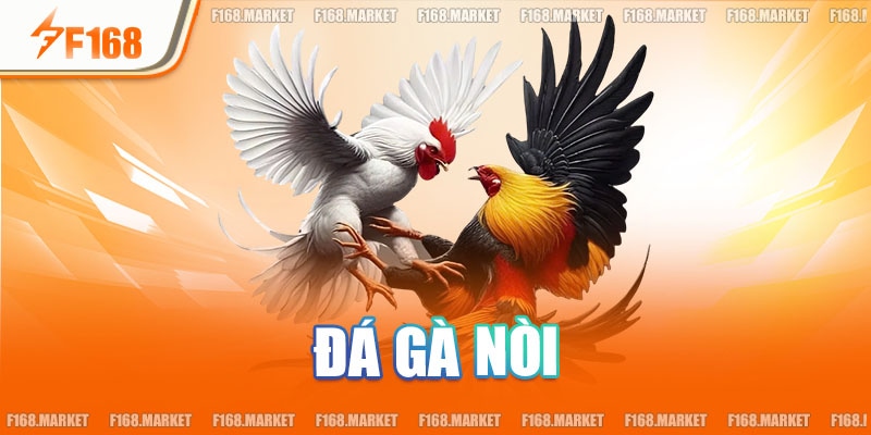 Đá Gà Nòi - Mãn Nhãn Cùng Phần Thể Hiện Của Chiến Binh Việt