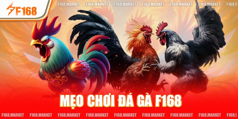 Mẹo Chơi Đá gà F168: Bí Quyết Thắng Từ Dân Chuyên Nghiệp