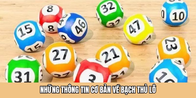 Những thông tin cơ bản về bạch thủ lô