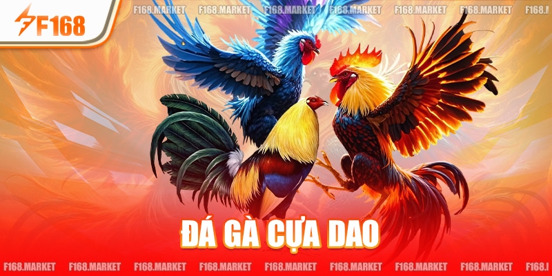 Đá Gà Cựa Dao - Mãn Nhãn Cùng Giải Đấu Chuyên Nghiệp