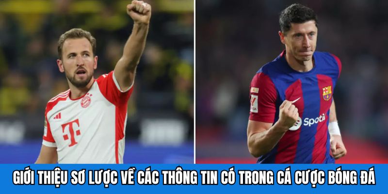 Giới thiệu sơ lược về các thông tin có trong cá cược bóng đá