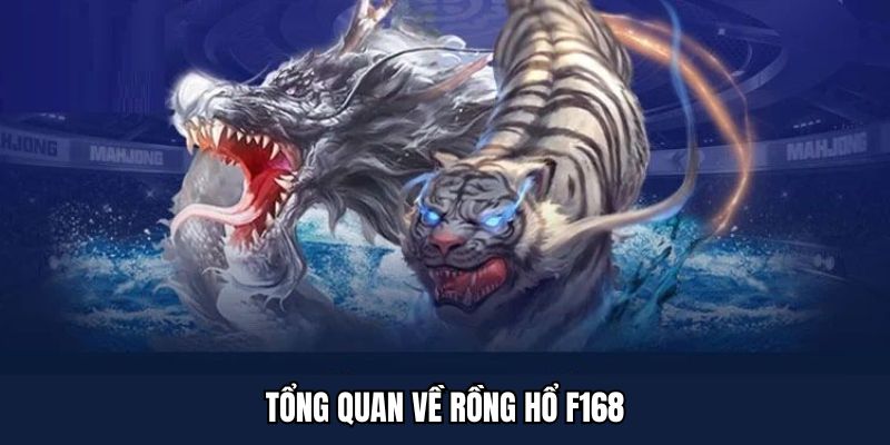 Tổng quan về rồng hổ F168